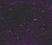1737600657679.jpg